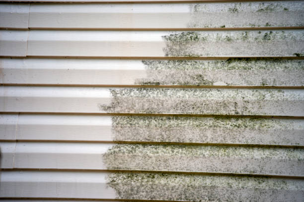 Best Historical Building Siding Restoration  in Spring Ridge, MD