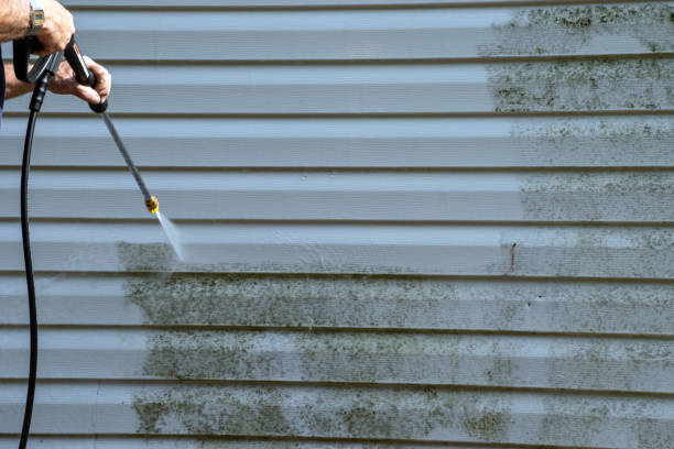 Affordable siding repair and maintenance services in Spring Ridge, MD