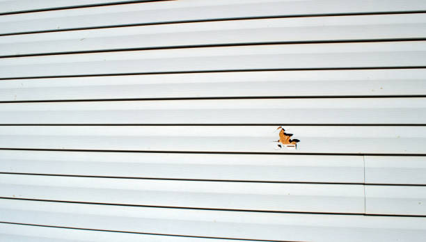 Best Residential Vinyl Siding Installation  in Spring Ridge, MD